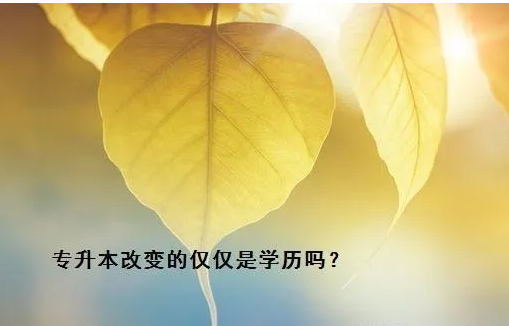 湖南专升本报考院校和专业哪个更重要？