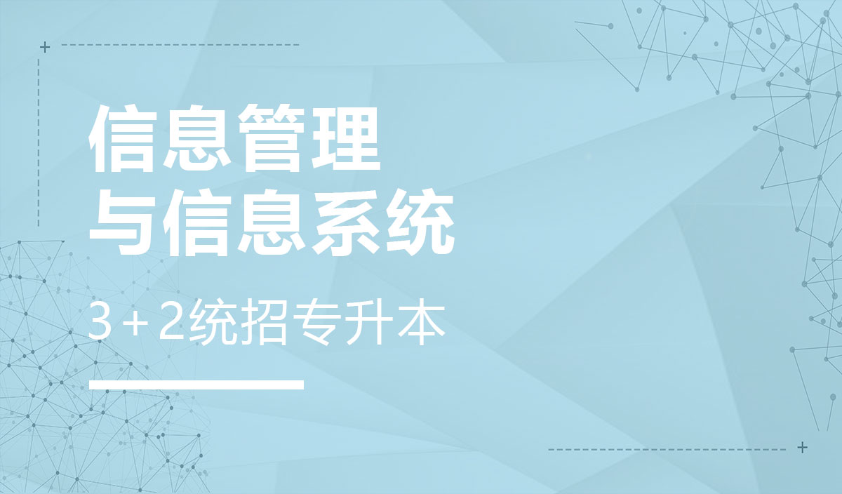 信息管理与信息系统