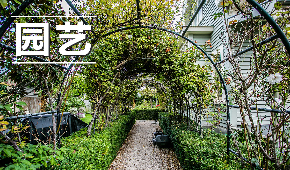 园艺