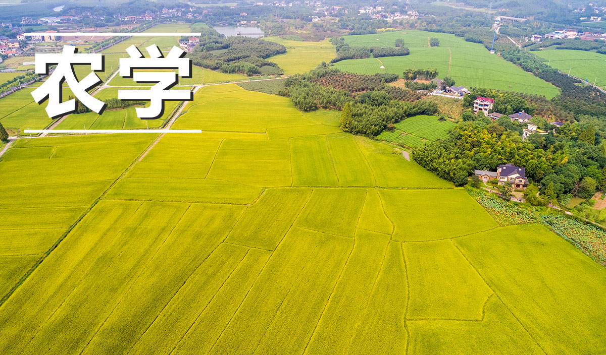 农学