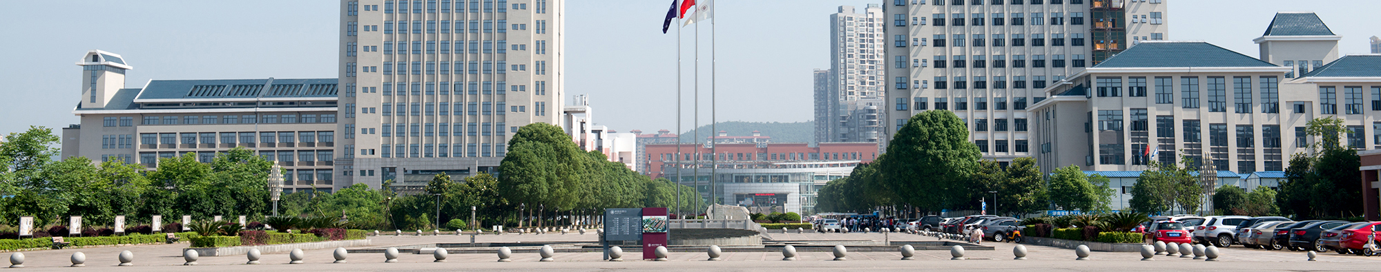 DSC_1378-1.jpg